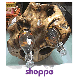 The Shoppe Vadodara