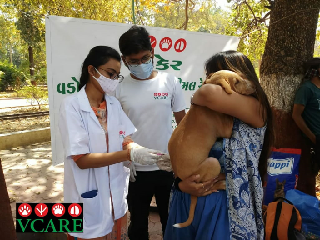 Vadodara Centre for Animal Rescue & Emergency (VCARE)