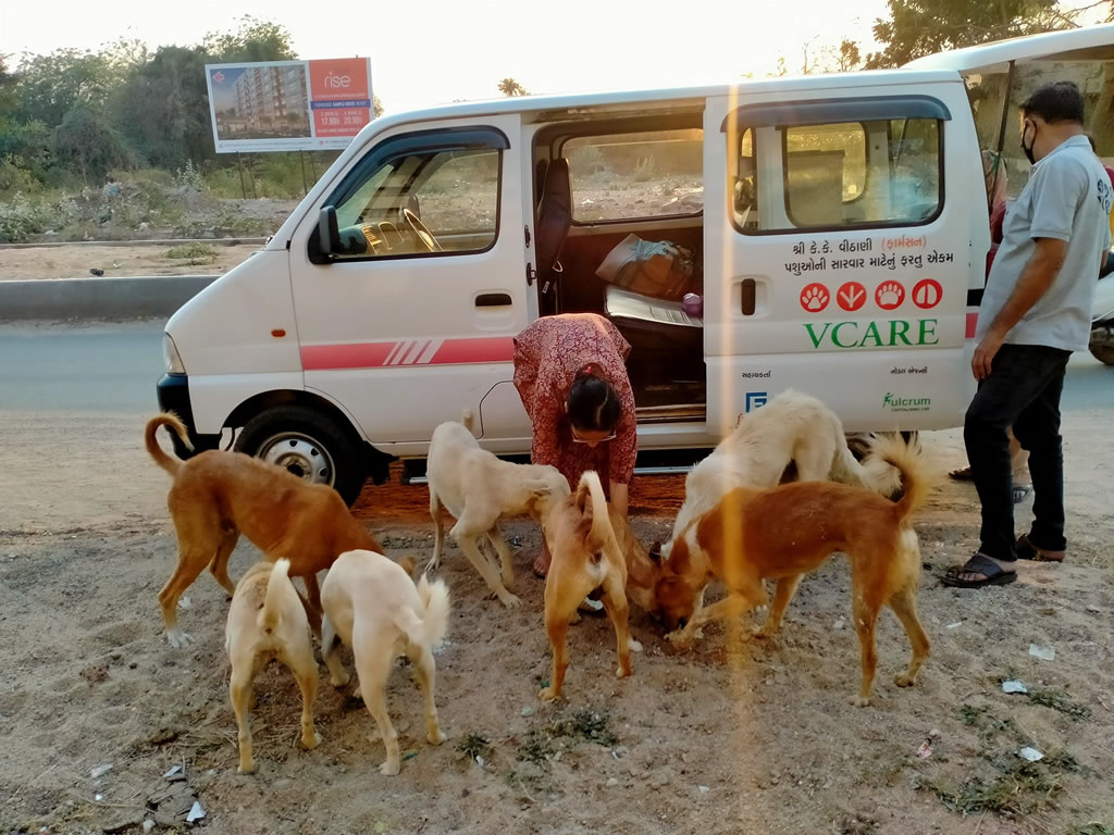 Vadodara Centre for Animal Rescue & Emergency (VCARE)