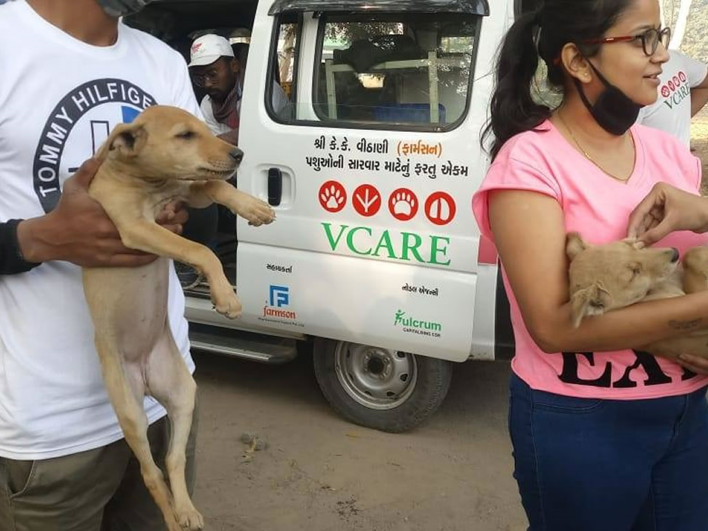 Vadodara Centre for Animal Rescue & Emergency (VCARE)